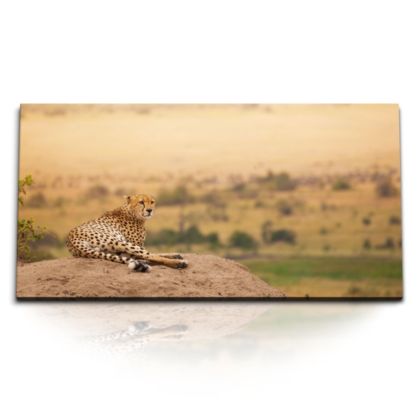 Paul Sinus Art Kunstdruck Bilder 120x60cm Gepard Afrika Landschaft Steppe Tierfotografie