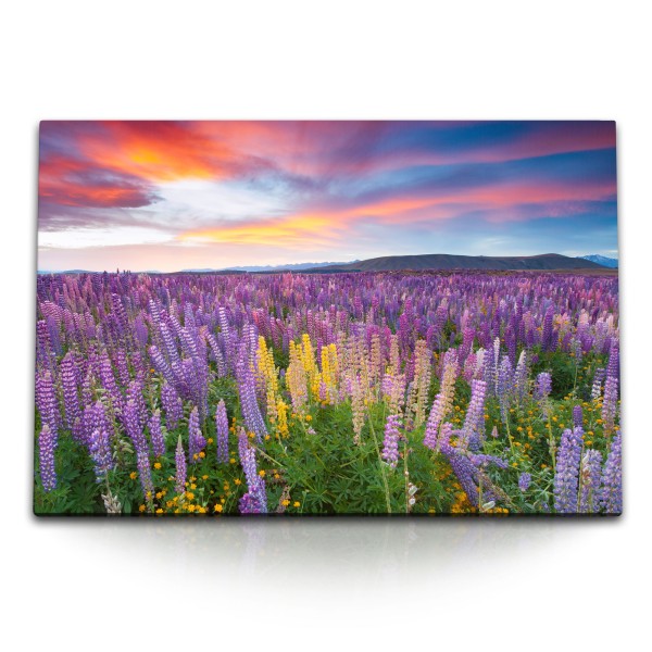 120x80cm Wandbild auf Leinwand Lila Blumen Blumenwiese Landschaft Berge Abendröte