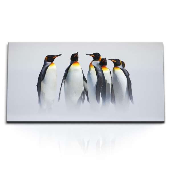 Kunstdruck Bilder 120x60cm Kaiserpinguine Pinguine Antarktis Tierfotografie