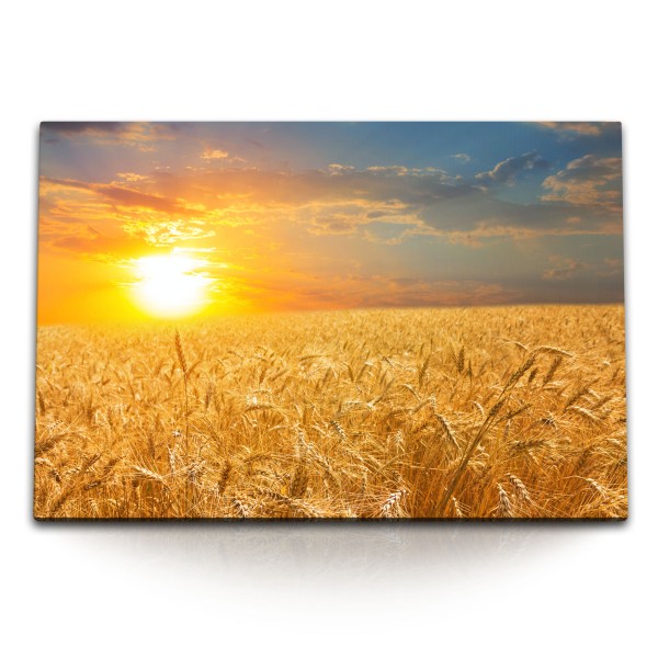 Paul Sinus Art 120x80cm Wandbild auf Leinwand Weizenfeld Weizen Sonne Sonnenuntergang Natur Abendrot