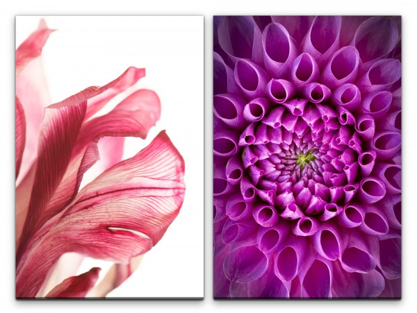 Paul Sinus Art 2 Bilder je 60x90cm Dahlie Blüten Violett Rot Blumen Sommer Makrofotografie