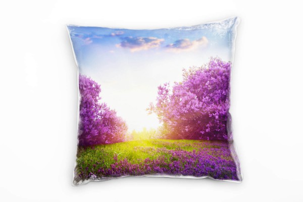 Paul Sinus Art Natur, rosa, grün, blau, Frühling, Sonnenaufgang Deko Kissen 40x40cm für Couch Sofa Lounge Zierkisse