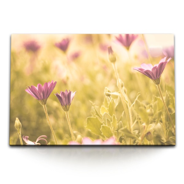 120x80cm Wandbild auf Leinwand Wilde Blumen Feldblumen Sommer Blumen Blüten