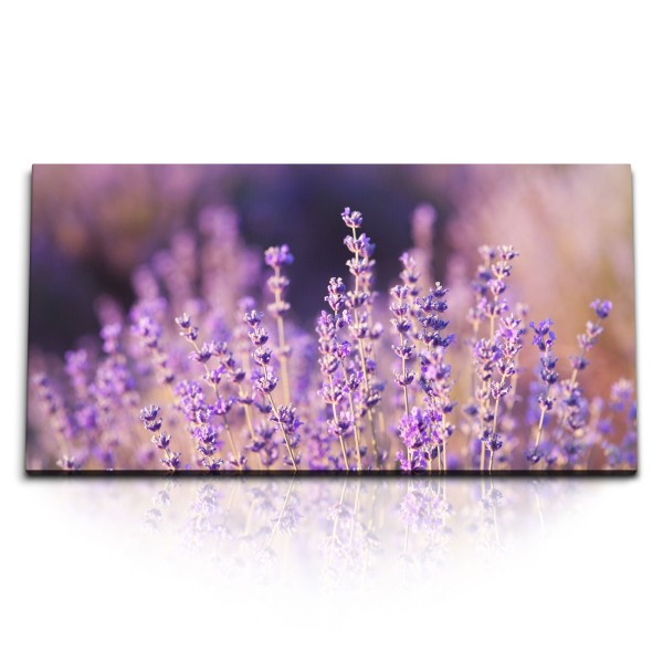 Paul Sinus Art Kunstdruck Bilder 120x60cm Lavendel Lila Blumen Sommer Wildblumen