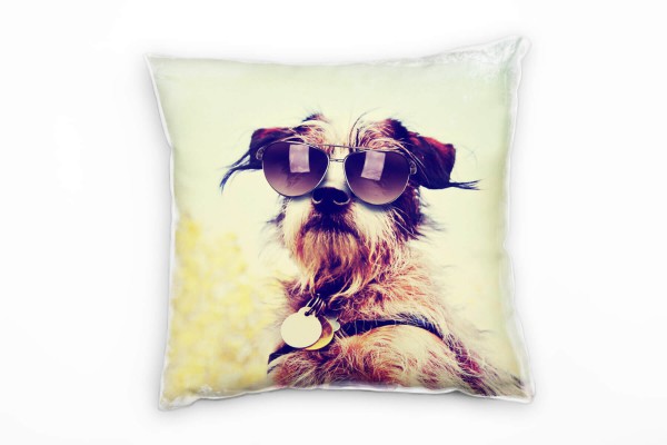 Paul Sinus Art Tiere, Hund mit Sonnenbrille, Chihuahua Terrier, braun, blau Deko Kissen 40x40cm für Couch Sofa Loun