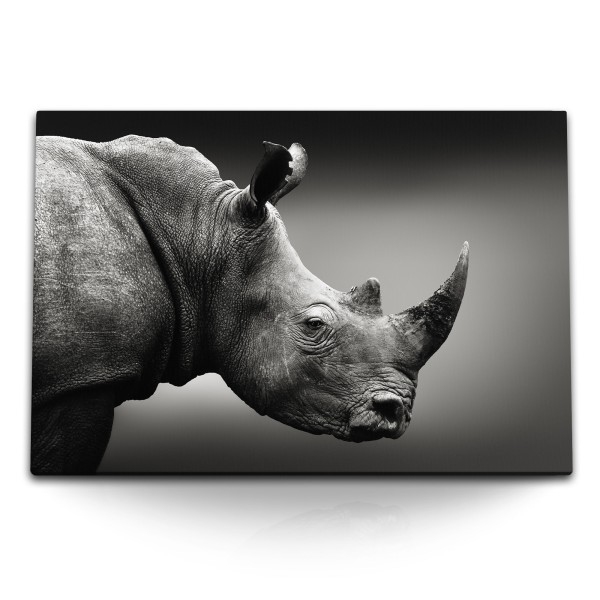 Paul Sinus Art 120x80cm Wandbild auf Leinwand Nashorn Tierfotografie Kunstvoll Grau Schwarz Weiß