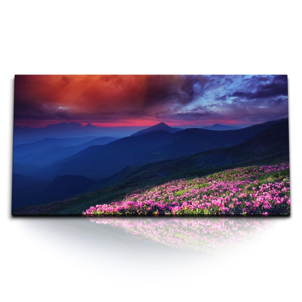 Paul Sinus Art Kunstdruck Bilder 120x60cm Berge Berglandschaft dunkler Himmel Blumenwiese