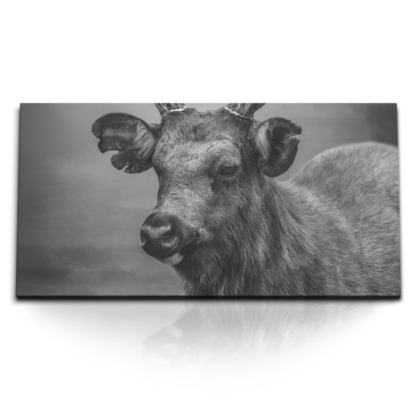 Paul Sinus Art Kunstdruck Bilder 120x60cm Schwarz Weiß Tierfotografie Hirsch Hirschgeweih