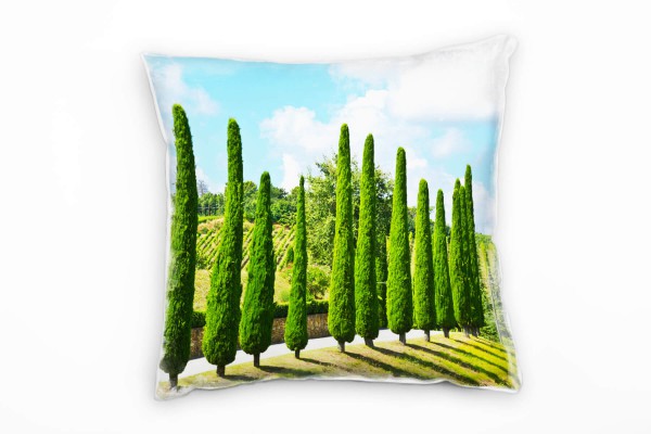 Paul Sinus Art Landschaft, grün, blau, Allee, Weinstöcke Deko Kissen 40x40cm für Couch Sofa Lounge Zierkissen