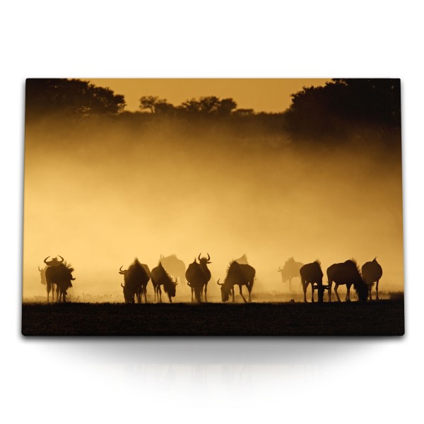 Paul Sinus Art 120x80cm Wandbild auf Leinwand Afrikanische Landschaft Gnus Herde Abendröte