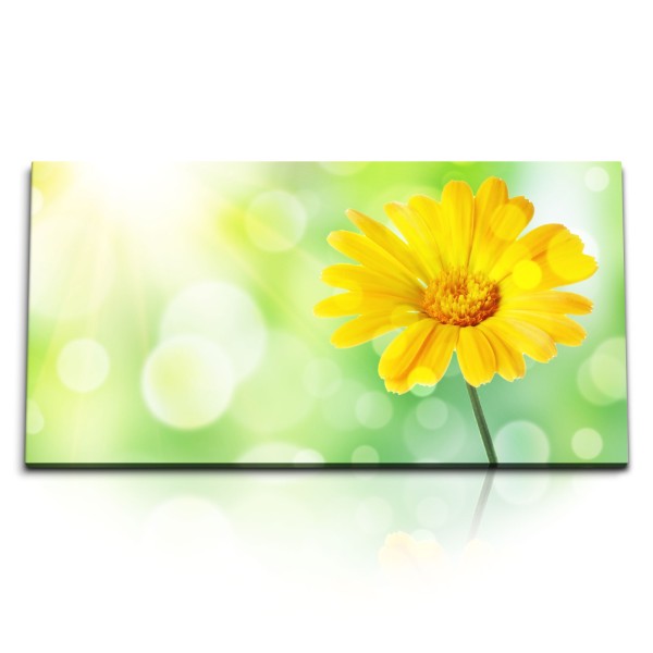 Paul Sinus Art Kunstdruck Bilder 120x60cm Gelbe Blume Grün Sonnenschein Sommer Blüte