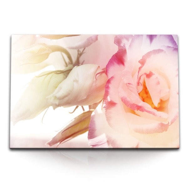 Paul Sinus Art 120x80cm Wandbild auf Leinwand Weiße Rosen Rosenblüten Hell Blumen Blüten