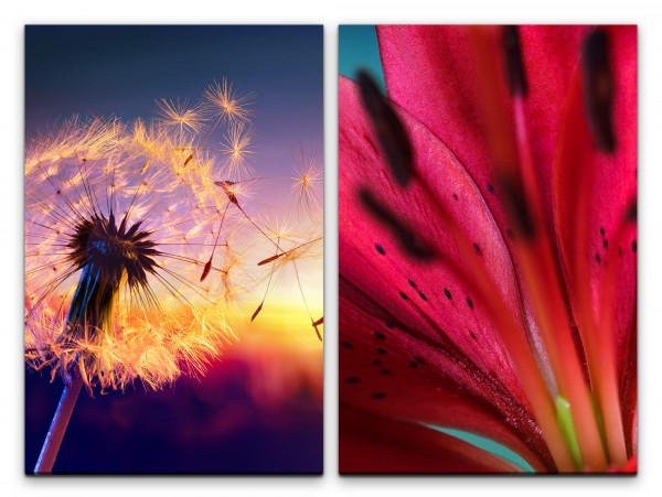 Paul Sinus Art 2 Bilder je 60x90cm Pusteblume Orchidee rote Blüte Sommer Dekorativ Entspannend positive Energie