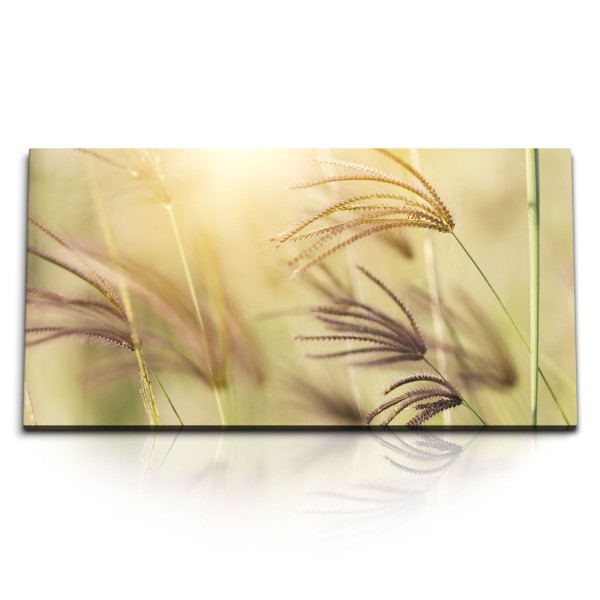 Paul Sinus Art Kunstdruck Bilder 120x60cm Sommer Grashalme Weizen Pflanzen Natur Sonnenschein