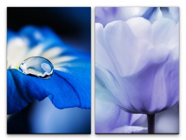 Paul Sinus Art 2 Bilder je 60x90cm Wasserperle Blumen Tulpen Zart Sommer Blau Makrofotografie