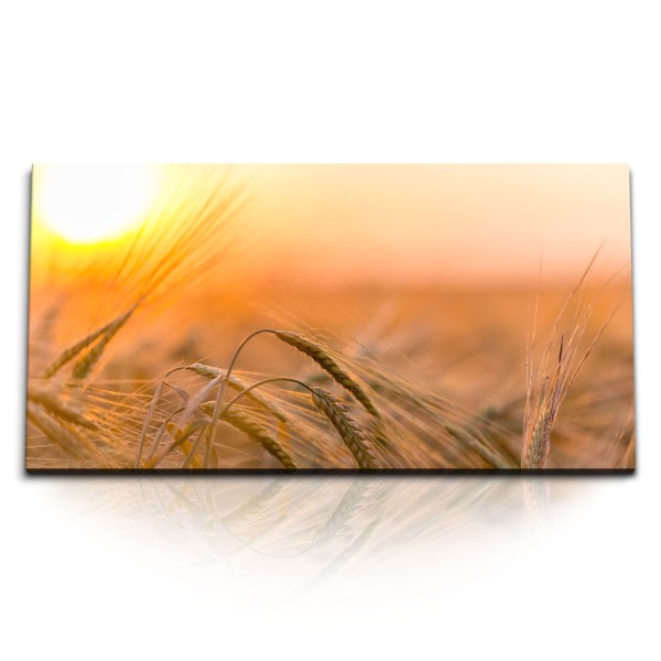 Paul Sinus Art Kunstdruck Bilder 120x60cm Sommer Sonnenuntergang Feld Natur Weizen