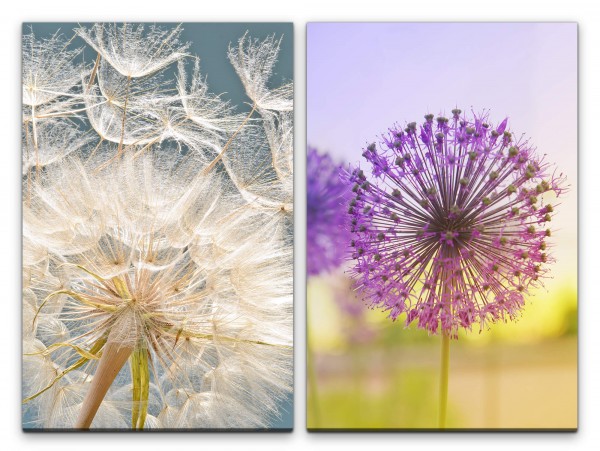 Paul Sinus Art 2 Bilder je 60x90cm Pusteblume Blumen Sommer warmes Licht positive Energie Meditation Makroaufnahmen