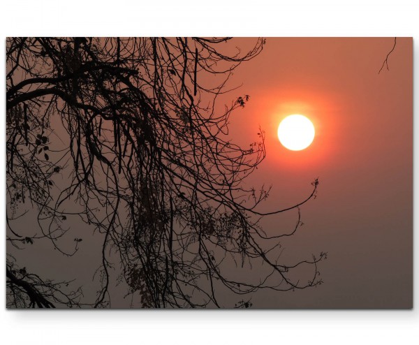 Paul Sinus Art Silhouette eines Baumes im Sonnenuntergang - Leinwandbild