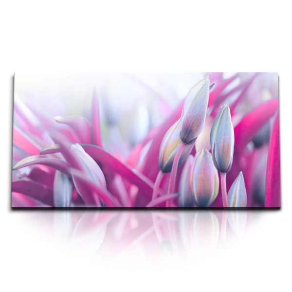 Paul Sinus Art Kunstdruck Bilder 120x60cm Tulpen Blumen Rosa Natur Blüten Kunstvoll