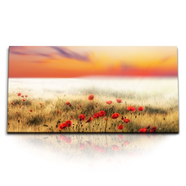 Paul Sinus Art Kunstdruck Bilder 120x60cm Roter Himmel Blumen Mohnblumen Wildblumen Natur