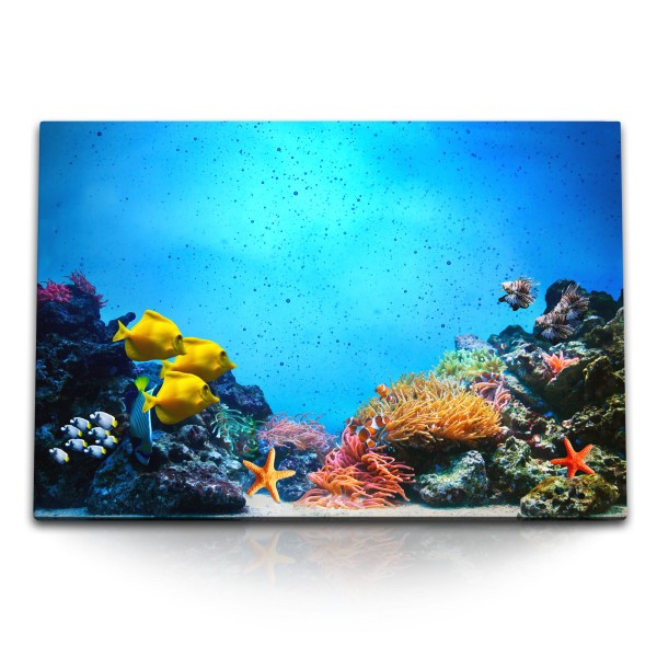 Paul Sinus Art 120x80cm Wandbild auf Leinwand Korallenriff Korallen unter Wasser Fotografie Fische