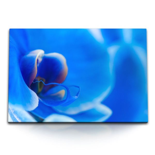 Paul Sinus Art 120x80cm Wandbild auf Leinwand Makrofotografie blaue Orchidee Blume Blüte