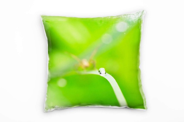 Paul Sinus Art künstlerische Fotografie, grün, Wassertropfen, Fokus Deko Kissen 40x40cm für Couch Sofa Lounge Zierk