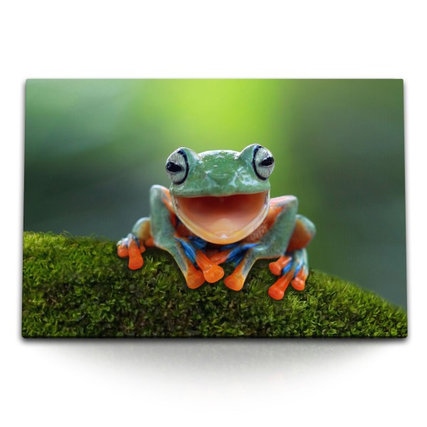 Paul Sinus Art 120x80cm Wandbild auf Leinwand Grüner Frosch Exotisch Tropisch Tierfotografie