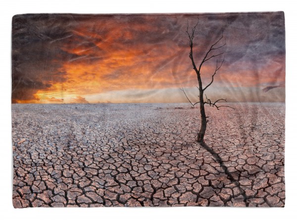 Paul Sinus Art Handtuch Strandhandtuch Saunatuch Kuscheldecke mit Fotomotiv Wüste Trocken Baum