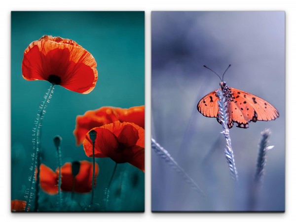 Paul Sinus Art 2 Bilder je 60x90cm Mohnblume rote Blume Schmetterling Sommer Nebel Sanft Zart