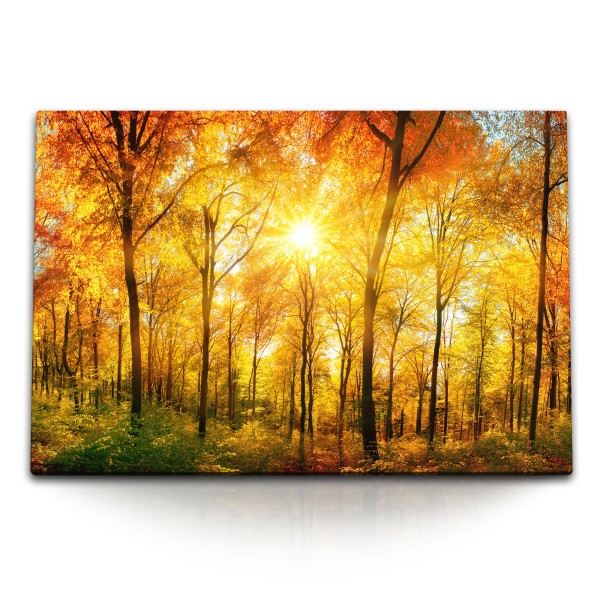 Paul Sinus Art 120x80cm Wandbild auf Leinwand Wald Herbst Herbstblätter Natur Rot Sonnenschein