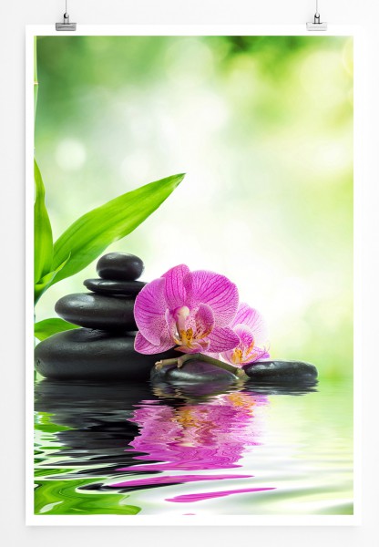 Paul Sinus Art 90x60cm Poster Fotografie Spa Dekoration Orchidee mit Steinen