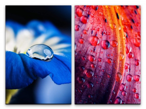 Paul Sinus Art 2 Bilder je 60x90cm Wasserperle Blumen Friedvoll blaue Blüte Wassertropfen Fotokunst Makrofotografie