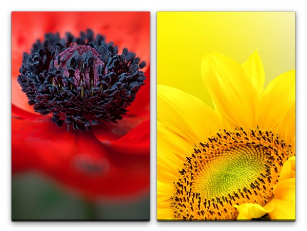 Paul Sinus Art 2 Bilder je 60x90cm Sonnenblume Gelb Mohnblume Blüte Blumen Makro Rot