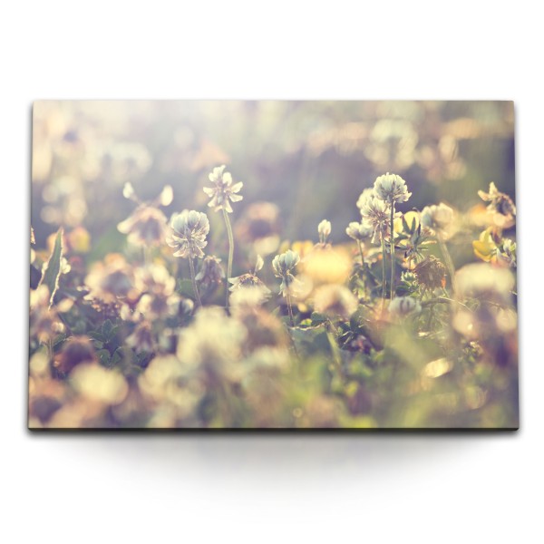 Paul Sinus Art 120x80cm Wandbild auf Leinwand Sonnenschein Blumenwiese Natur Wildblumen Feldblumen