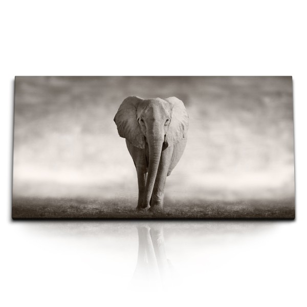 Paul Sinus Art Kunstdruck Bilder 120x60cm Elefant Grau Tierfotografie Afrika Wildnis