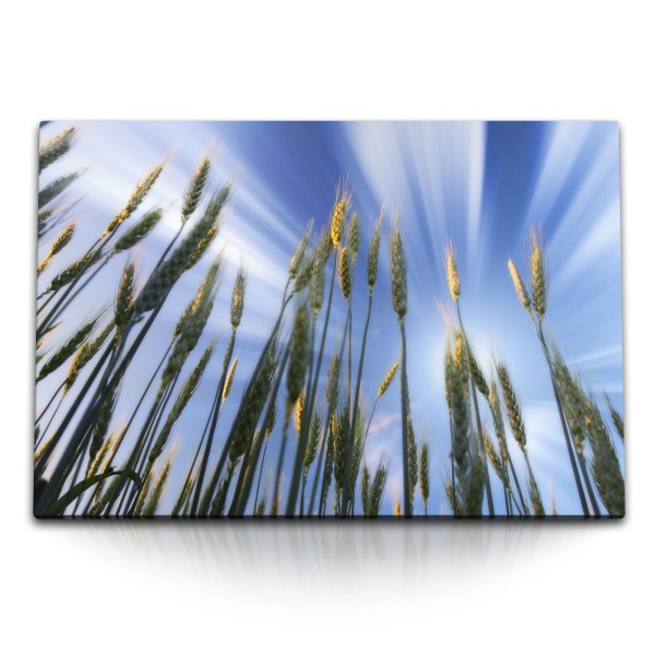 Paul Sinus Art 120x80cm Wandbild auf Leinwand Weizen Weizenfeld Halme Himmel Natur Sonnenschein