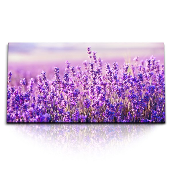 Kunstdruck Bilder 120x60cm Lavendel Lavendelfeld Violett Lila Natur Sonnenuntergang