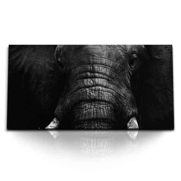 Paul Sinus Art Kunstdruck Bilder 120x60cm Tierfotografie Elefant Schwarz Weiß Kunstvoll Dunkel