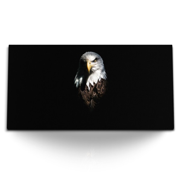 Paul Sinus Art Kunstdruck Bilder 120x60cm Weißkopfadler Adler Tierfotografie schwarzer Hintergrund