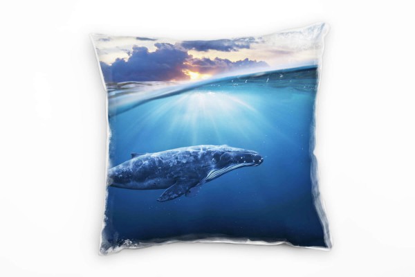 Paul Sinus Art Tiere, Wal, Meer, blau, grau Deko Kissen 40x40cm für Couch Sofa Lounge Zierkissen