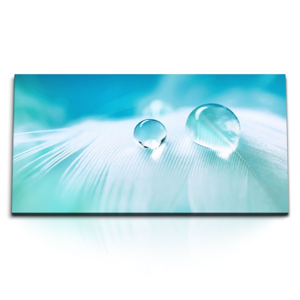 Paul Sinus Art Kunstdruck Bilder 120x60cm Makrofotografie weiße Feder Wassertropfen Hellblau Blau