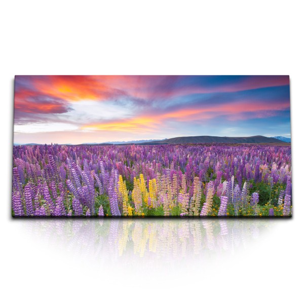 Paul Sinus Art Kunstdruck Bilder 120x60cm Lila Blumen Blumenwiese Landschaft Berge Abendröte