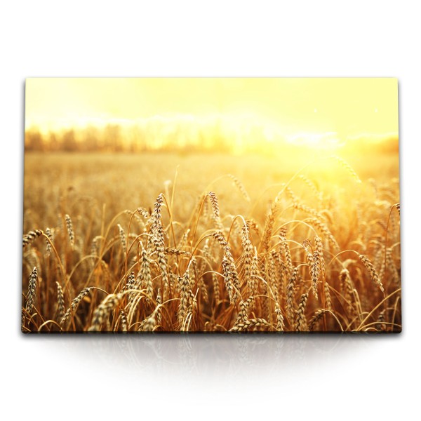 120x80cm Wandbild auf Leinwand Weizen Weizenfeld Sonnenschein Natur Landschaft