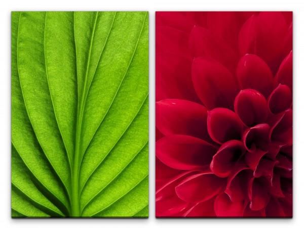 Paul Sinus Art 2 Bilder je 60x90cm Grünes Blatt rote Blume Blüte Blattstruktur Fotokunst Sommer Makrofotografie