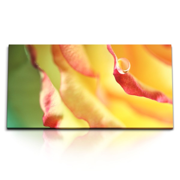 Paul Sinus Art Kunstdruck Bilder 120x60cm Makrofotografie Wassertropfen gelbe Blüte Blume