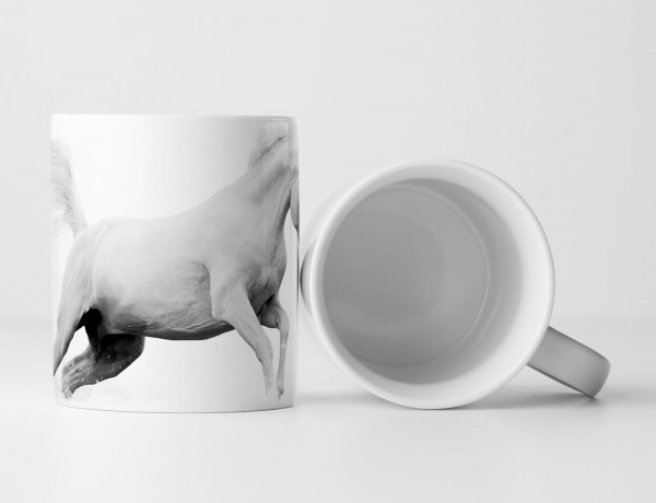 Paul Sinus Art Tasse Geschenk Tierfotografie – Weißer Araberhengst bei Nebel