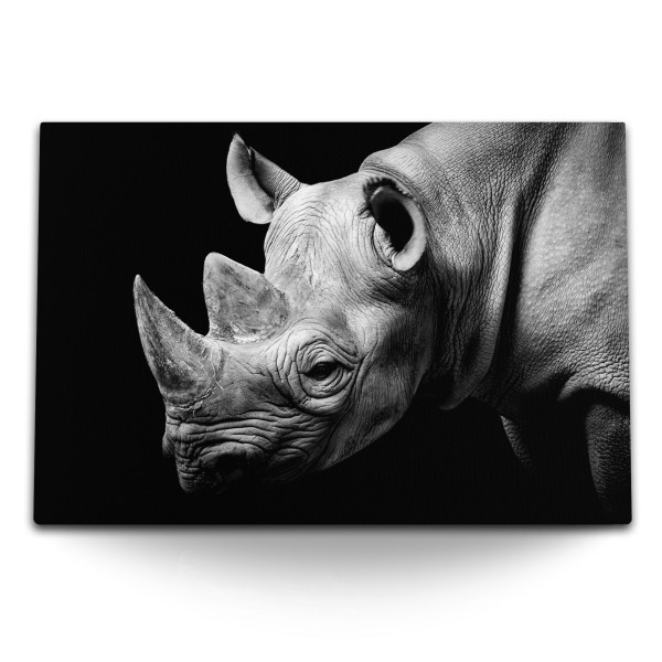 Paul Sinus Art 120x80cm Wandbild auf Leinwand Tierfotografie Nashorn Schwarz Weiß Kunstvoll