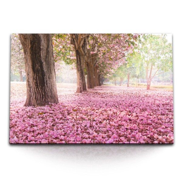 Paul Sinus Art 120x80cm Wandbild auf Leinwand Baumblüten Frühling Rosa Park Bäume Natur