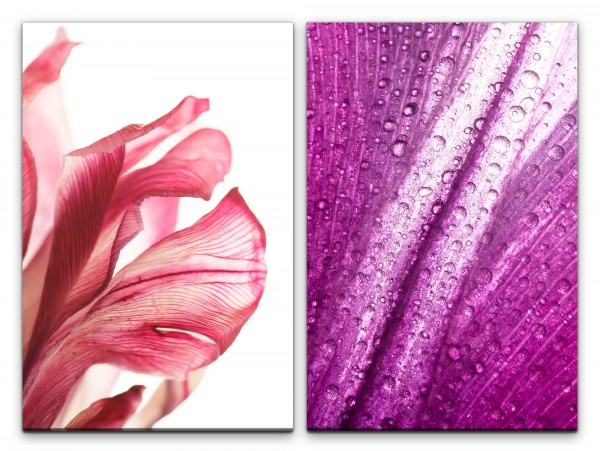 Paul Sinus Art 2 Bilder je 60x90cm Orchidee rote Blüte Violett Wassertropfen Fotokunst Nahaufnahme Makrofotografie